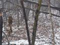 Działka inwestycyjna 1,36 ha, Mysłowice, Konopnickiej - zdjęcie 2
