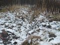 Działka inwestycyjna 1,36 ha, Mysłowice, Konopnickiej - zdjęcie 3