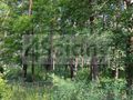 Działka budowlana 1814&nbsp;m², Magdalenka - zdjęcie 2