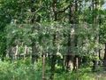 Działka budowlana 1814&nbsp;m², Magdalenka - zdjęcie 1