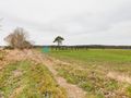 Działka rolna o powierzchni 2.77 ha Słuchowo - zdjęcie 5
