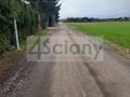 Działka budowlana 2007 m², Skrzeszew - zdjęcie 3