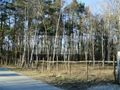 Działka budowlana 2138 m², Marki - zdjęcie 2