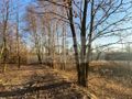 Działka gospodarstwo 8,44 ha, Lewiczyn - zdjęcie 6