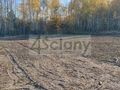 Działka budowlana 2362 m², Wiązowna - zdjęcie 4