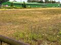 Magazyn 226 m2 , teren ogrodzony , dogodny dojazd - zdjęcie 1