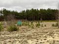 6237m- Pod zabudowę wielorodzinną -Czersk - zdjęcie 3