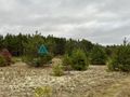 6237m- Pod zabudowę wielorodzinną -Czersk - zdjęcie 4