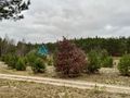 6237m- Pod zabudowę wielorodzinną -Czersk - zdjęcie 5