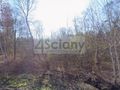 Działka budowlana 2776 m², Władków - zdjęcie 1