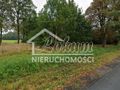 Działka budowlana 3000 m², Stare Chrapowo - zdjęcie 5