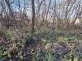 Działka inwestycyjna 488&nbsp;m², Sosnowiec, gen. Zygmunta Waltera Jankego - zdjęcie 5