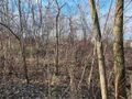 Działka inwestycyjna 488&nbsp;m², Sosnowiec, gen. Zygmunta Waltera Jankego - zdjęcie 4