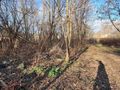 Działka inwestycyjna 488&nbsp;m², Sosnowiec, gen. Zygmunta Waltera Jankego - zdjęcie 3