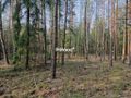 Działka rolna 4,29 ha, Poniklica - zdjęcie 4