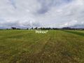 Działka rolna 859 m², Zabłudów, św. Rocha - zdjęcie 3