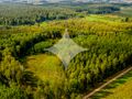 Działka rolna 1,54 ha, Dobrzyniówka - zdjęcie 5