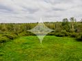 Działka rolna 1,54 ha, Dobrzyniówka - zdjęcie 4