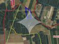Działka rolna 1,70&nbsp;ha, Rynki - zdjęcie 2