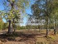 Działka budowlana 606 m², Będzin, Łagisza, Odkrywkowa - zdjęcie 1