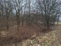 Działka inwestycyjna 5339&nbsp;m², Brzeszcze, Przecieszyńska - zdjęcie 3