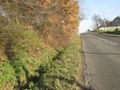 Działka inwestycyjna 4107&nbsp;m², Mszana, Wolności - zdjęcie 3
