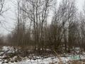 Działka inwestycyjna 963 m², Wodzisław Śląski, Czarnieckiego - zdjęcie 3