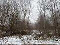 Działka inwestycyjna 963 m², Wodzisław Śląski, Czarnieckiego - zdjęcie 2