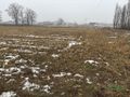 Działka inwestycyjna 5956&nbsp;m², Suszec, Kamienna - zdjęcie 2