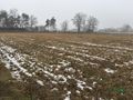 Działka inwestycyjna 5956&nbsp;m², Suszec, Kamienna - zdjęcie 3
