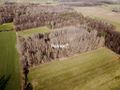 Działka budowlana 4643 m², Siestrzanki - zdjęcie 5