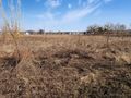 Działka budowlana 1,11 ha, Domaszczyn, Przylesie - zdjęcie 5