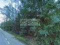 Działka budowlana 4000&nbsp;m², Książenice - zdjęcie 2