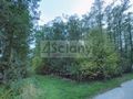 Działka budowlana 4000&nbsp;m², Książenice - zdjęcie 1