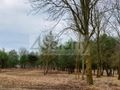 Działka budowlana 1000&nbsp;m², Huta Żabiowolska - zdjęcie 1