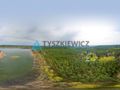 Las z linią brzegową jeziora - PIECE %NOWA CENA% - zdjęcie 6