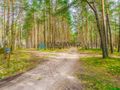 Las z linią brzegową jeziora - PIECE %NOWA CENA% - zdjęcie 5