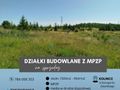 Kolincz - działka w spokojnej okolicy - zdjęcie 5