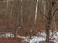 Działka inwestycyjna 9,40&nbsp;ha, Wojkowice, Sobieskiego - zdjęcie 3