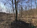 Działka inwestycyjna 4670 m², Bytom, Kędzierzyńska - zdjęcie 3