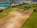 Działka inwestycyjna 9839&nbsp;m², Dubowo Pierwsze - zdjęcie 2