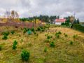 Przestronna działka 3000 m² pod Chojnicami - zdjęcie 4