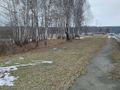 Działka budowlana 3,99 ha, Dąbrowa Górnicza - zdjęcie 5