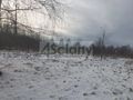 Działka budowlana 981 m², Rusiec - zdjęcie 1