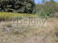 Działka budowlana 2100 m², Regut - zdjęcie 5
