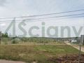 Działka rolna 1290 m², Olszewnica Stara - zdjęcie 1