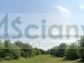 Działka budowlana 2325 m², Karczew - zdjęcie 1