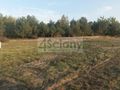 Działka budowlana 1388 m², Dębinki - zdjęcie 2