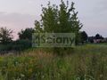 Działka inwestycyjna 8400 m², Nowa Wola - zdjęcie 5