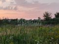 Działka inwestycyjna 8400 m², Nowa Wola - zdjęcie 4
